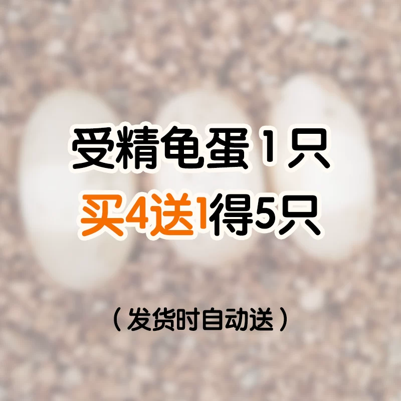 �ܾ��군1ֻ ��4��1��5ֻ