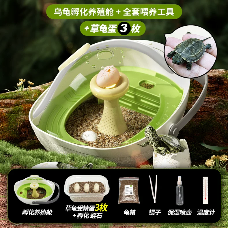 ������ֳ��+��3ö�ݹ군+ȫ��ι������+����