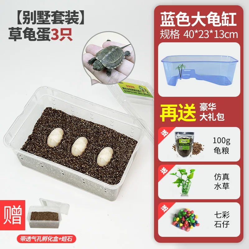 ���������װ���ݹ군��2��1(��֤��1ֻ)