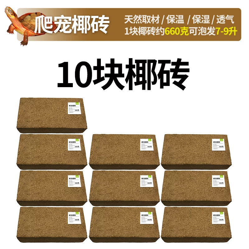 Ҭשx10��