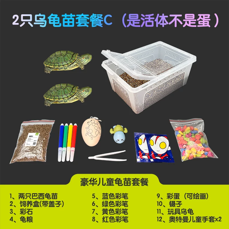 2ֻ�ڹ����ײ�C�����塿