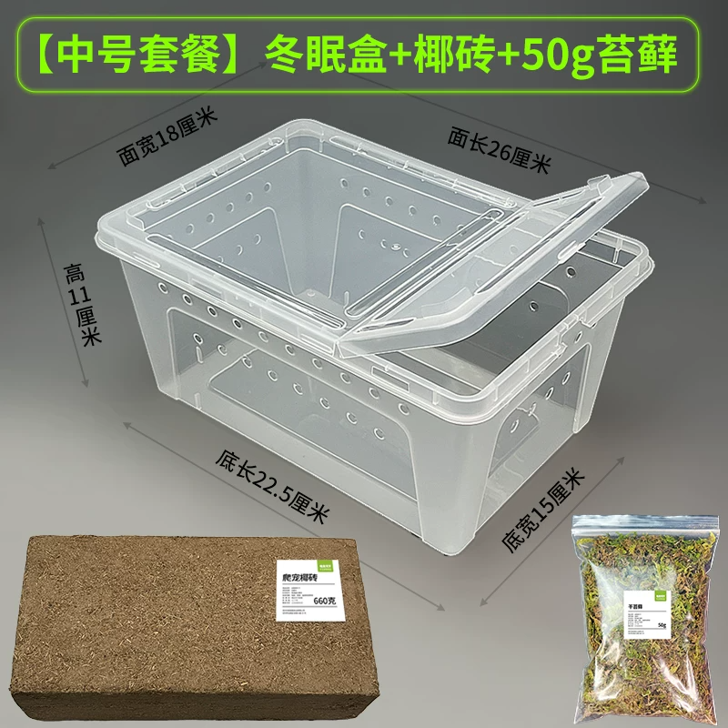 4�顾��̦޺����3���