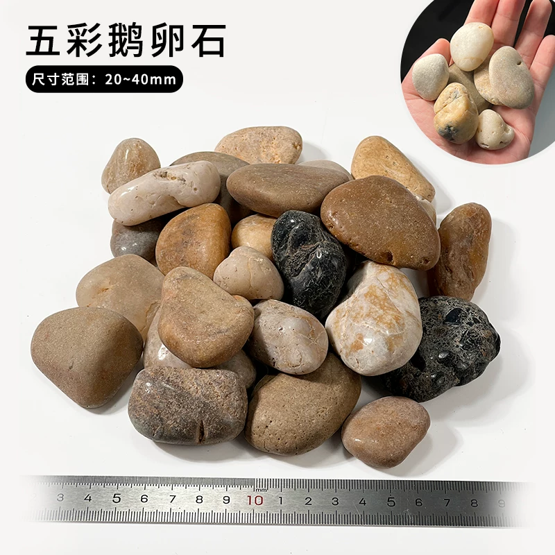 ��ʶ���ʯ20~40mm(1��װ)
