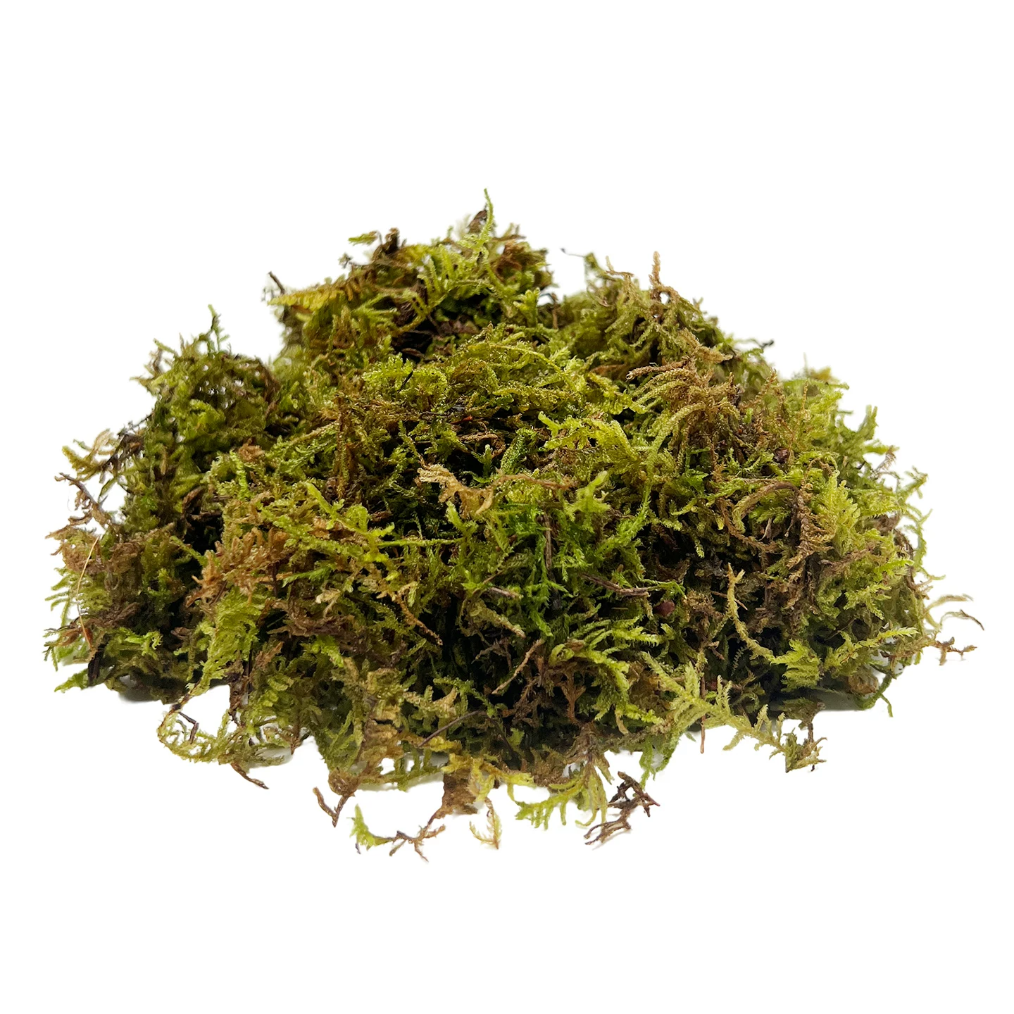 ̦޺��500g��