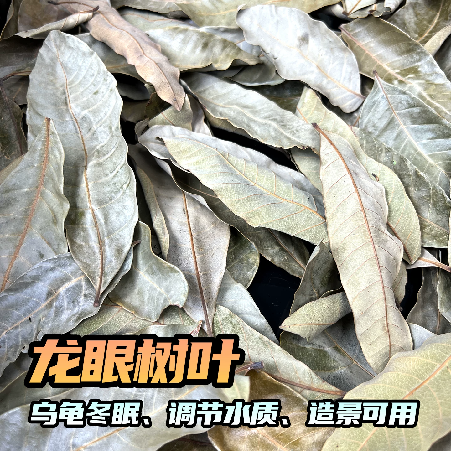 �ڹ궬��������Ҷ��50Ƭ