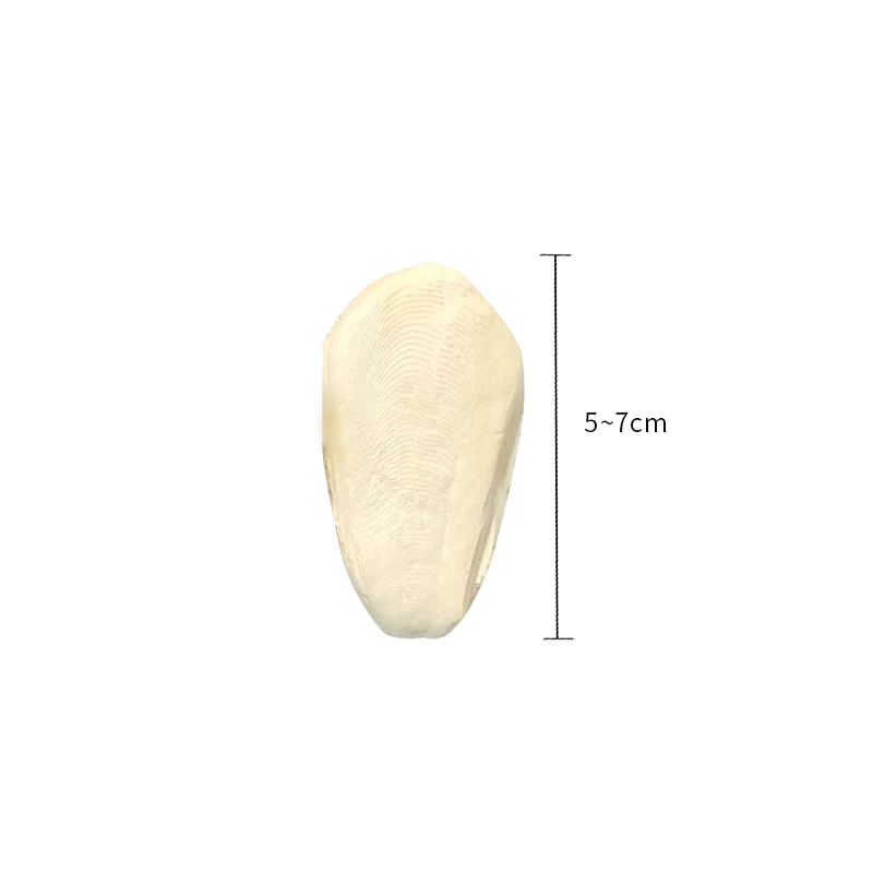 С��ī��ǣ�Լ5-7cm��