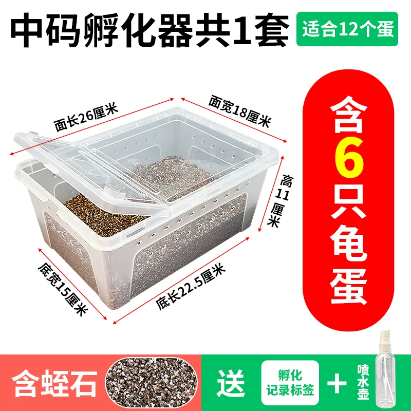 �����������װ ��6ֻ�ܾ��군