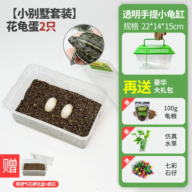 ��С������װ�����군��1��1(��֤��1ֻ)