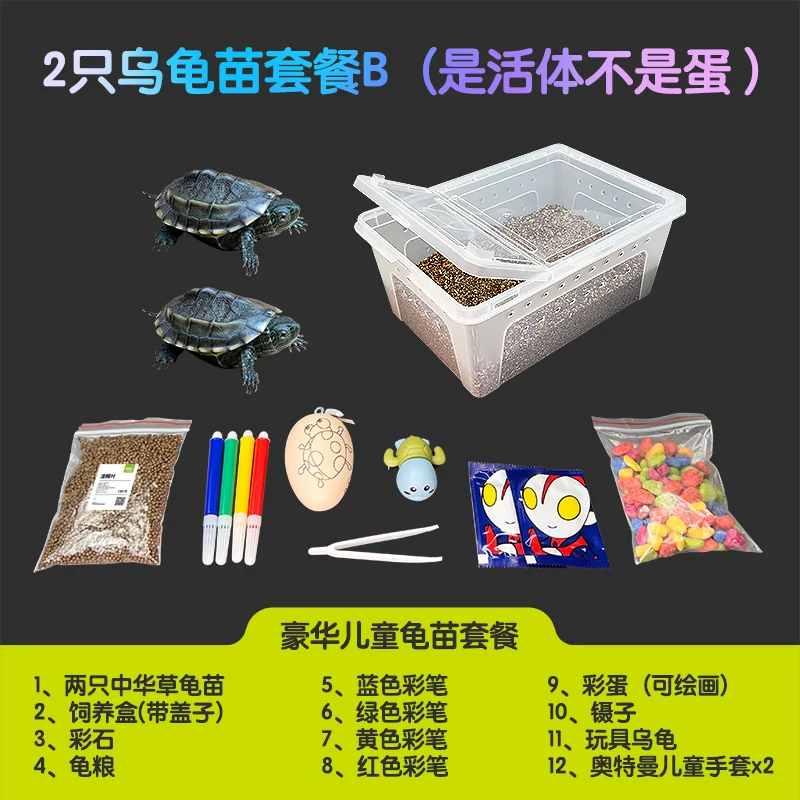 2ֻ�ڹ����ײ�B�����塿