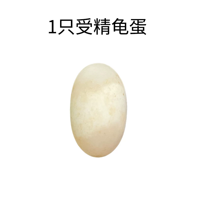 �ڹ��ܾ���