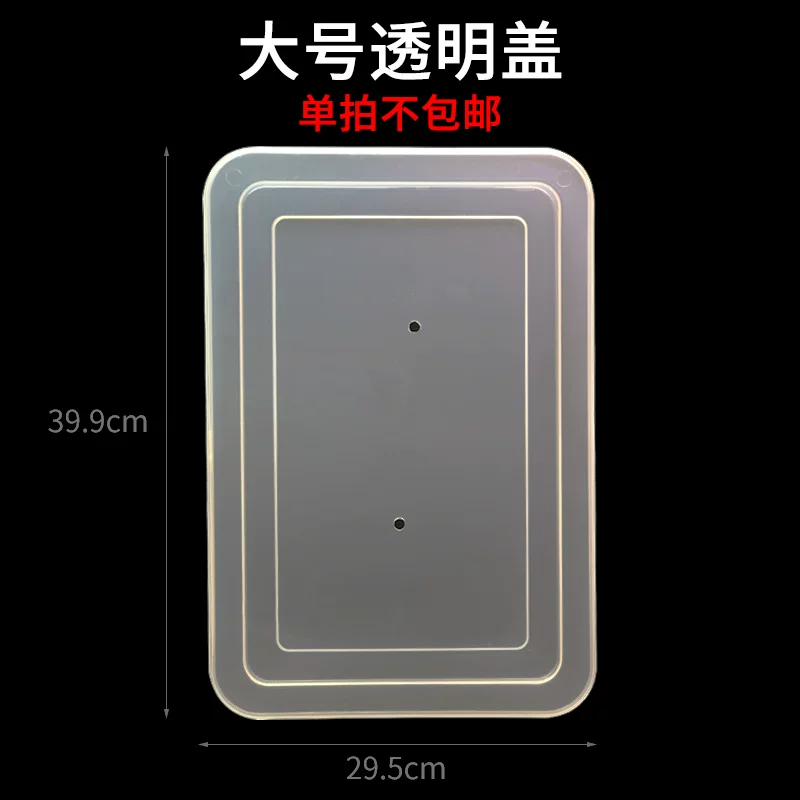 ���͸������39.9x29.5cm