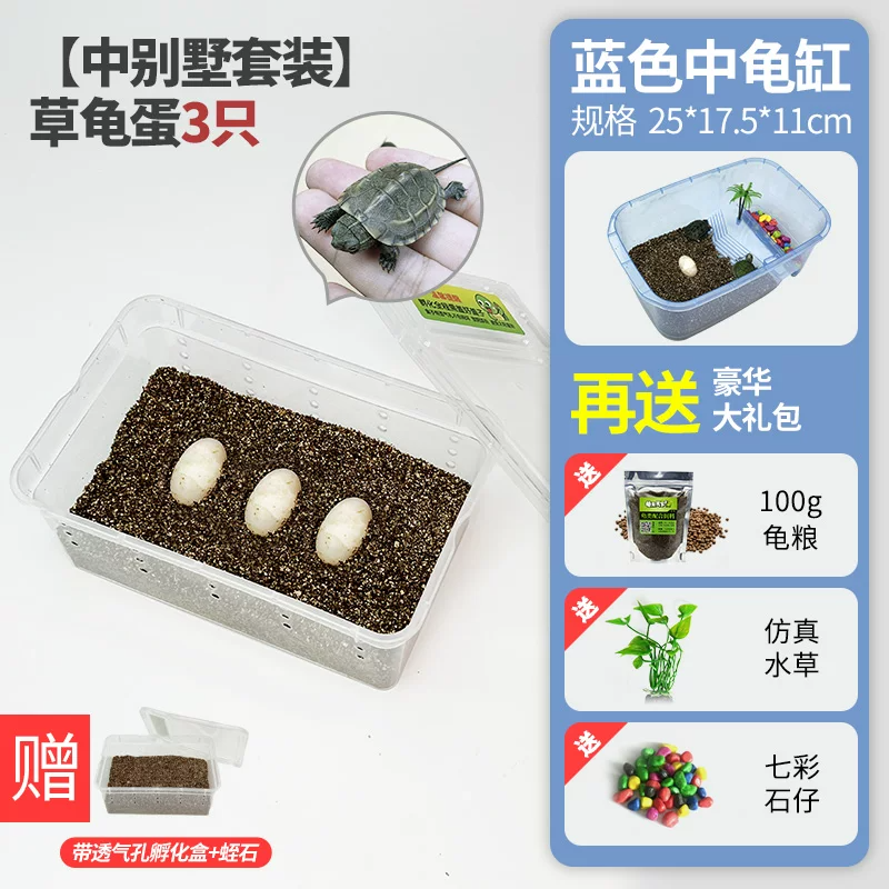 ���б�����װ���ݹ군��2��1(��֤��1ֻ)
