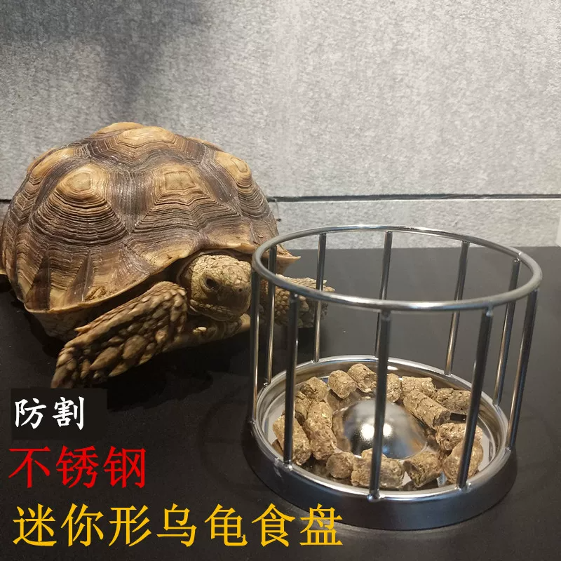 �����ڹ�ιʳ�� С��½��ʳ�̽�Ǯ���Ե����ιʳ��ˮ�� 304����