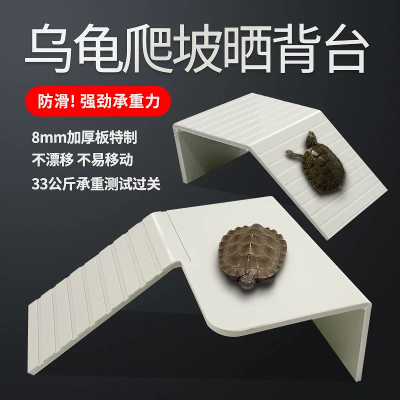 �������°������ɹ��̨�ڹ���������̨������̨�����Ϣ����쾰