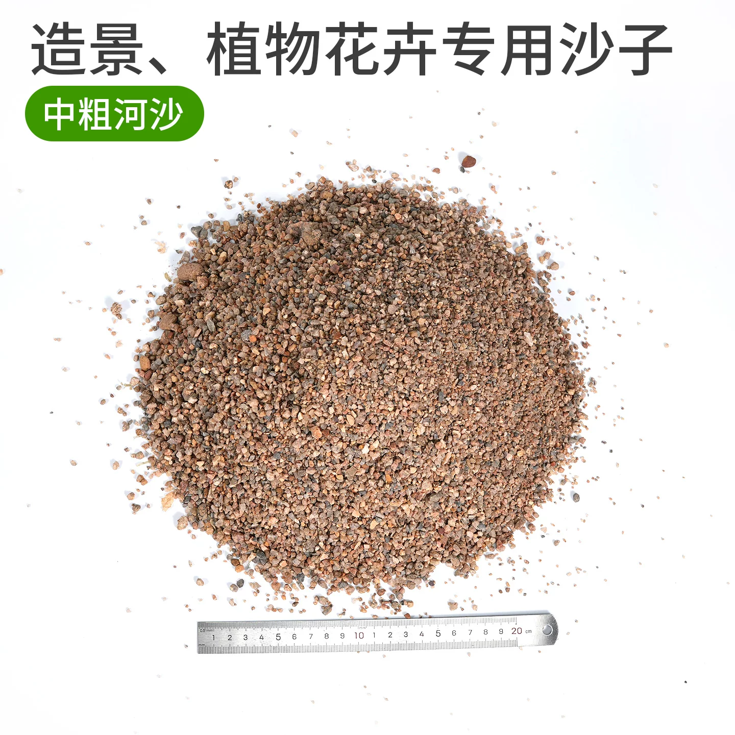 20���ڹ��쾰������ֲ�д�ɳ