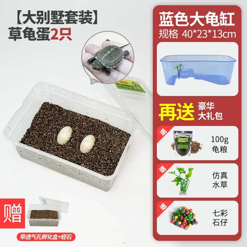 ���������װ���ݹ군��1��1(��֤��1ֻ)
