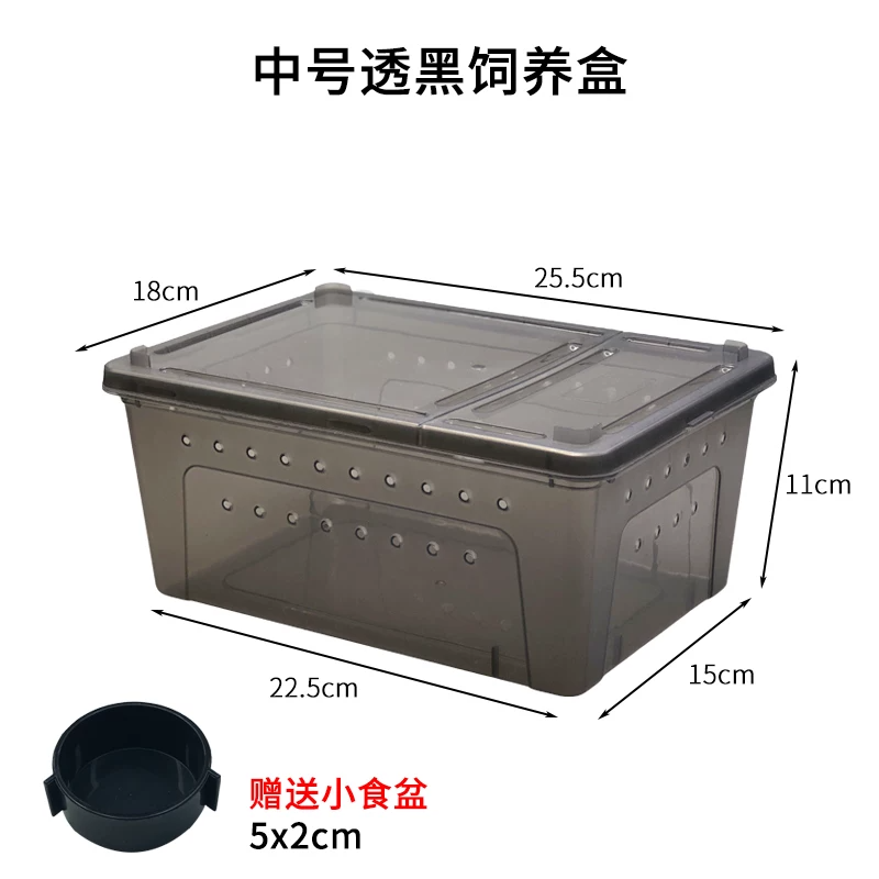 �к�͸��������(25.5x18x11cm)