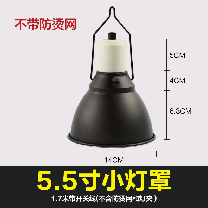 5.5��С���֣������֣�