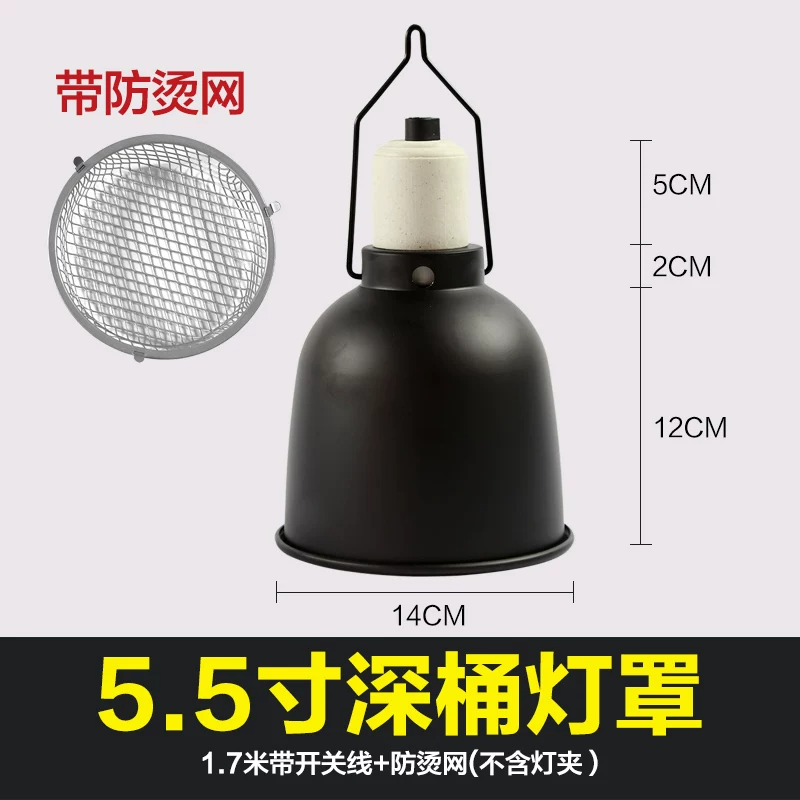 5.5����Ͱ���֣������֣�