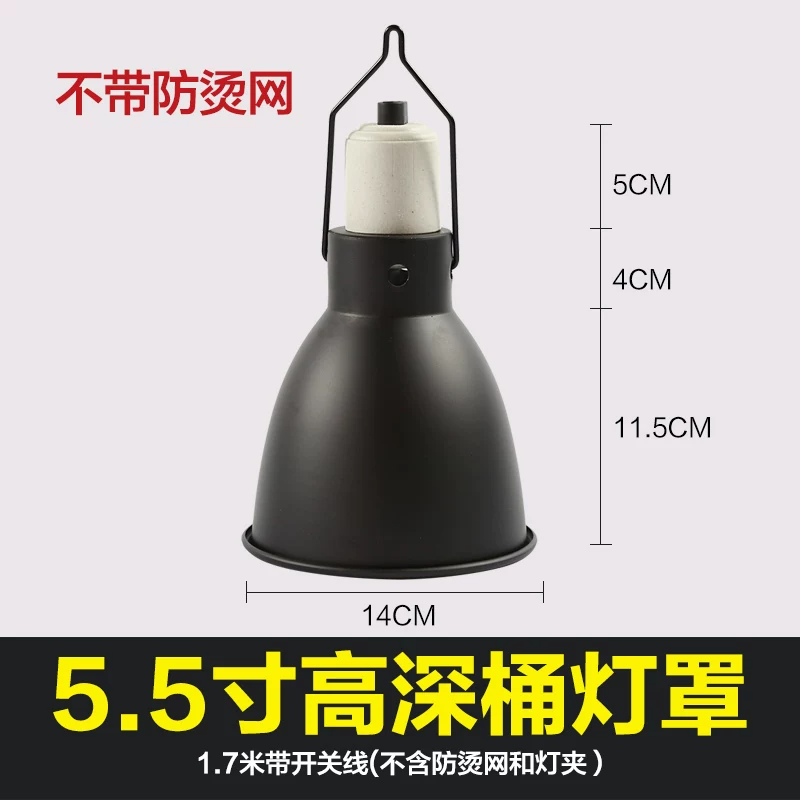 5.5�����Ͱ���֣������֣�