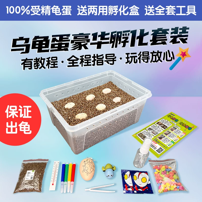 �ڹ군�ɷ���DIY�ܾ���װ�����ͯ��������С�ȳ��ѧʵ��ħ��
