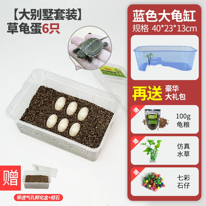 ���������װ���ݹ군��4��2(��֤��2ֻ)