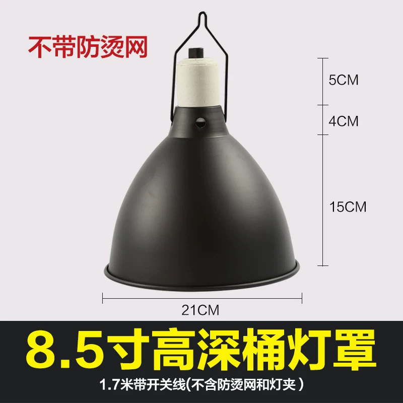 8.5�����Ͱ���֣������֣�