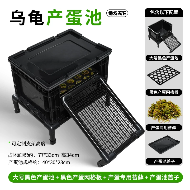 ��ź�ɫ������+�µ������+����̦޺