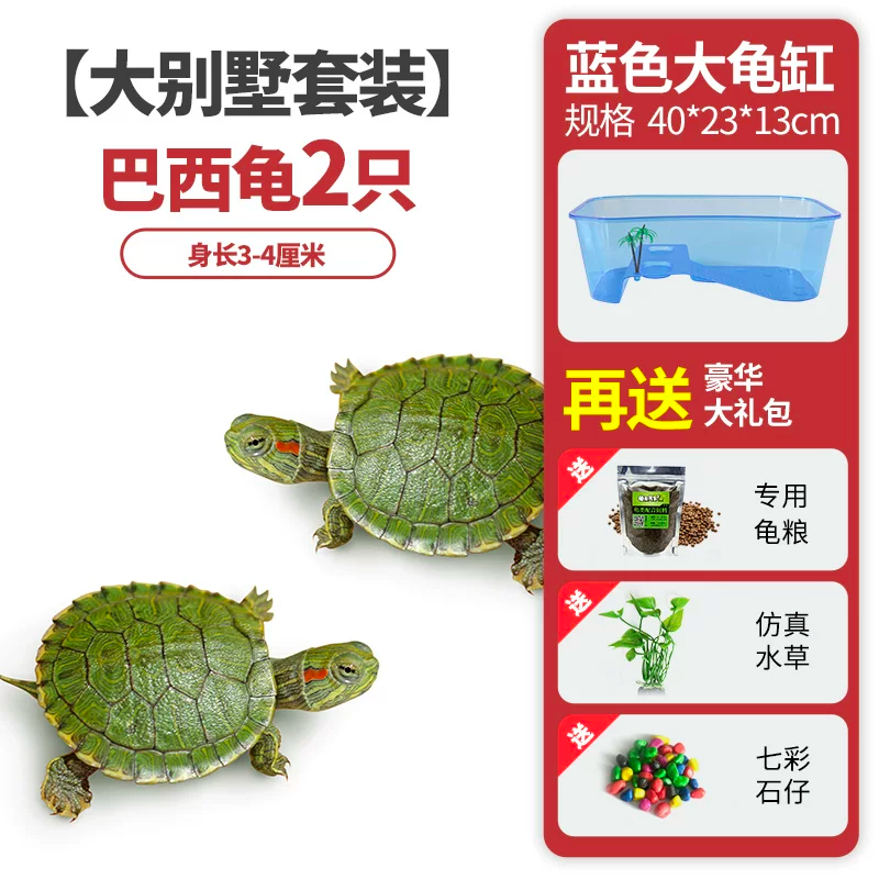 ���������װ��������2ֻ+���+����+��ʯ+ˮ��
