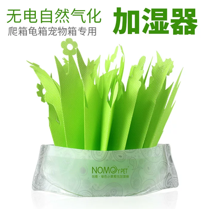 �ڹ��ʪ��½��������������Ȼ�����޵籣ʪ��ֲ�ﻷ����ʪ���쾰