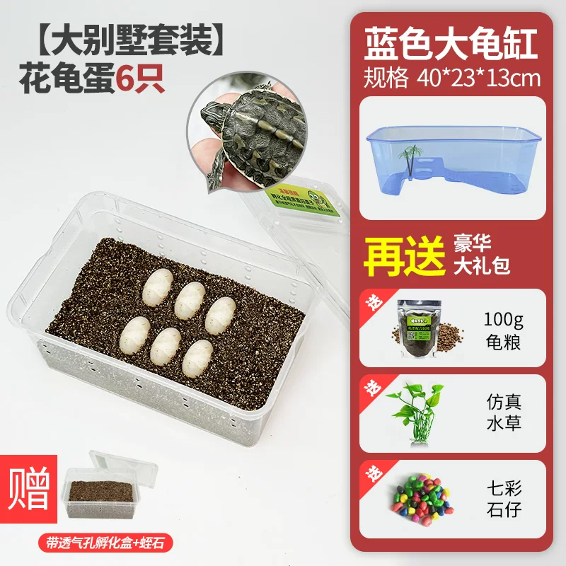 ���������װ�����군��4��2(��֤��2ֻ)