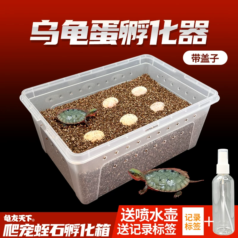 �ڹ����������С�走�������޾���ʯ�ع��ߵ������ܾ����ɷ�����