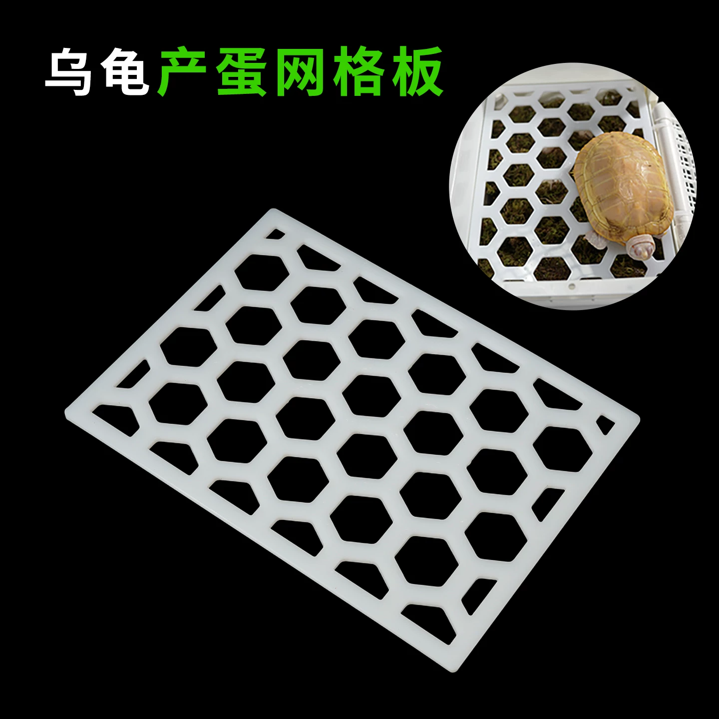 �ڹ��µ��������ȵ��Ե����������������ɹ̨��ɫ�з�ֳɳ�ذ�
