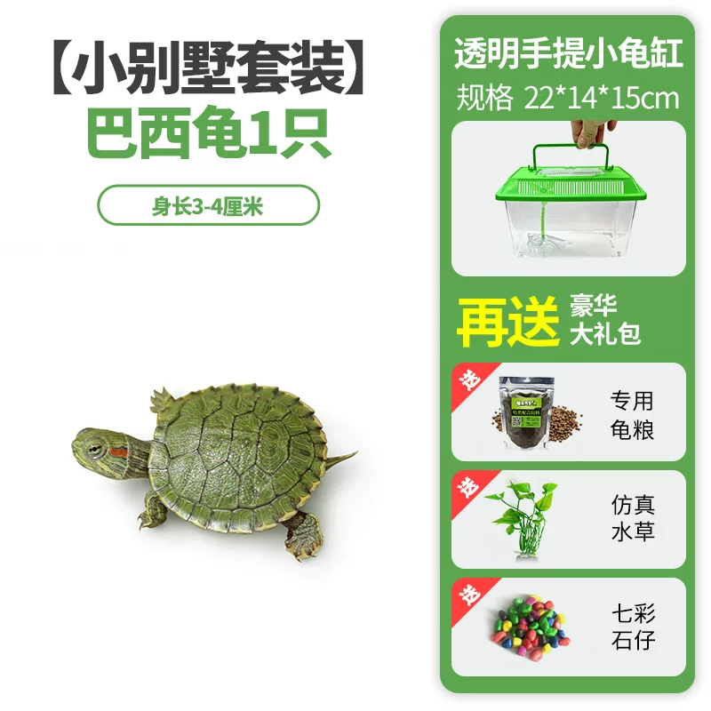 ��С������װ��������1ֻ+���+����+��ʯ+ˮ��