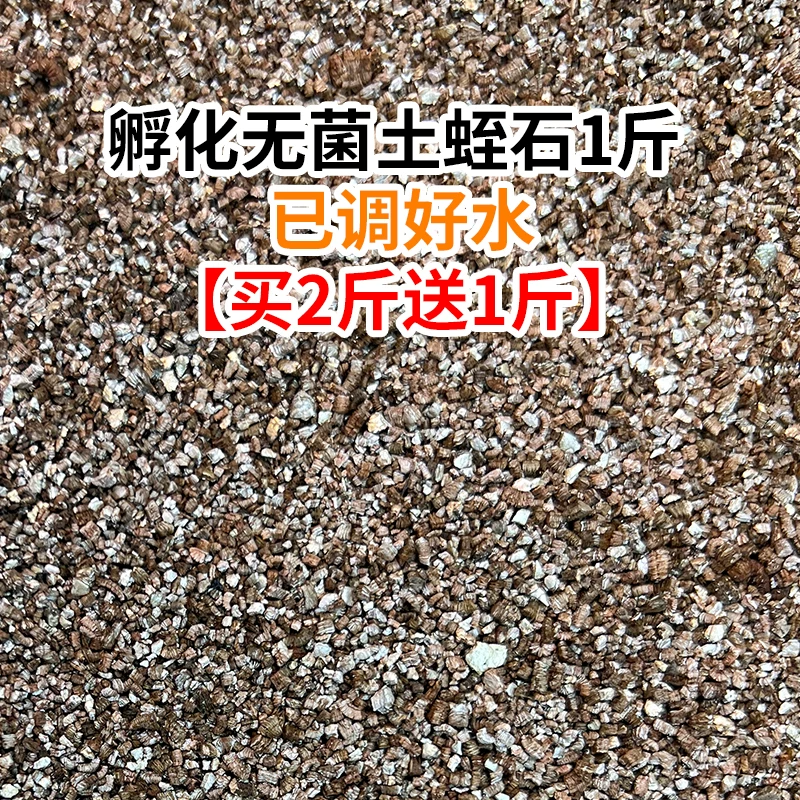 �ڹ군������ʯ1�� �ѵ���ˮ ��2��1
