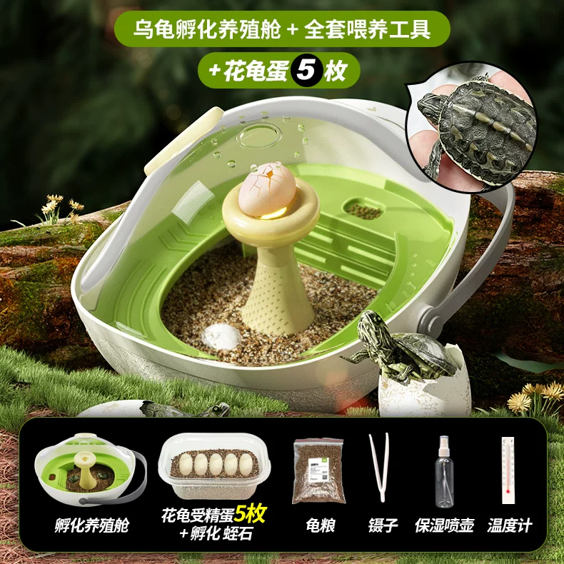 ������ֳ��+��5ö���군+ȫ��ι������+����