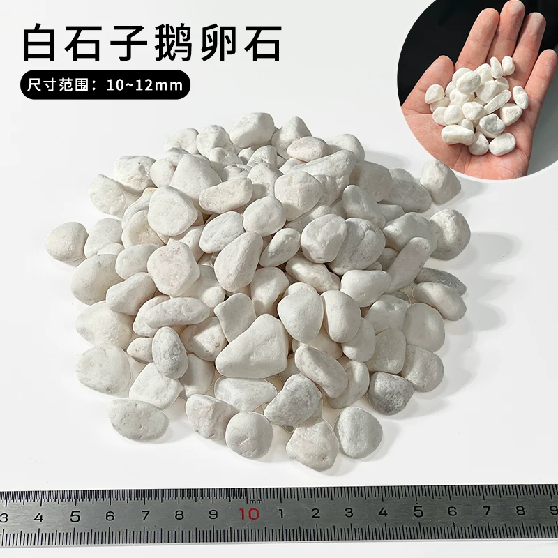 ��ʯ�Ӷ���ʯ10~12mm��1��װ��