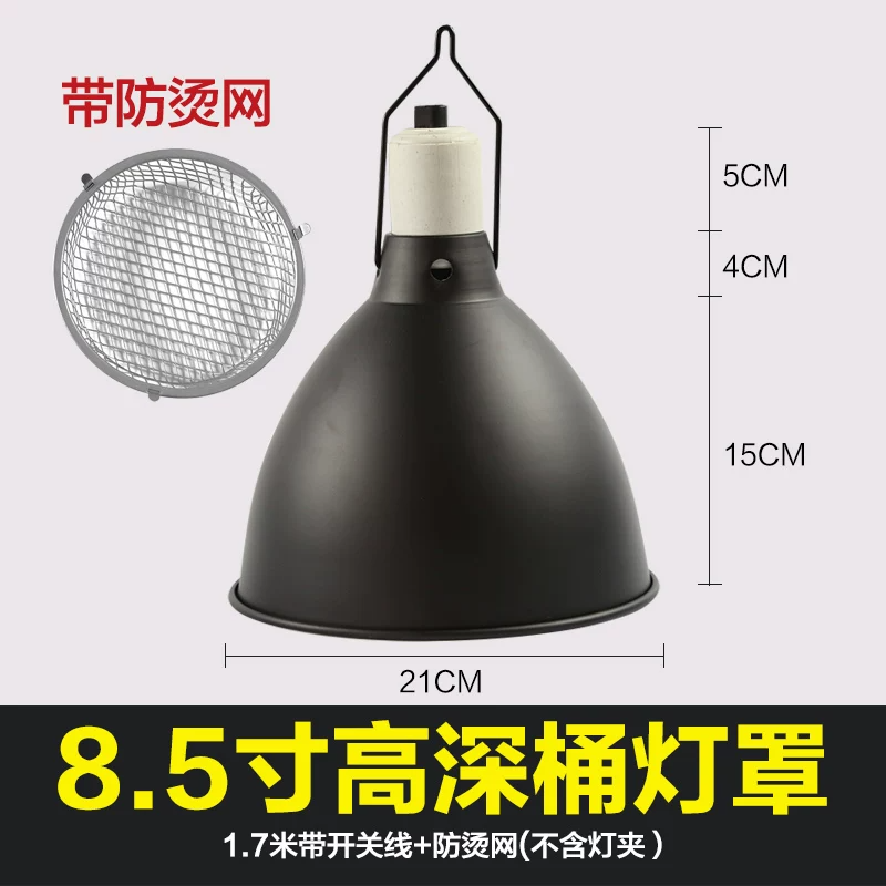 8.5�����Ͱ���֣������֣�