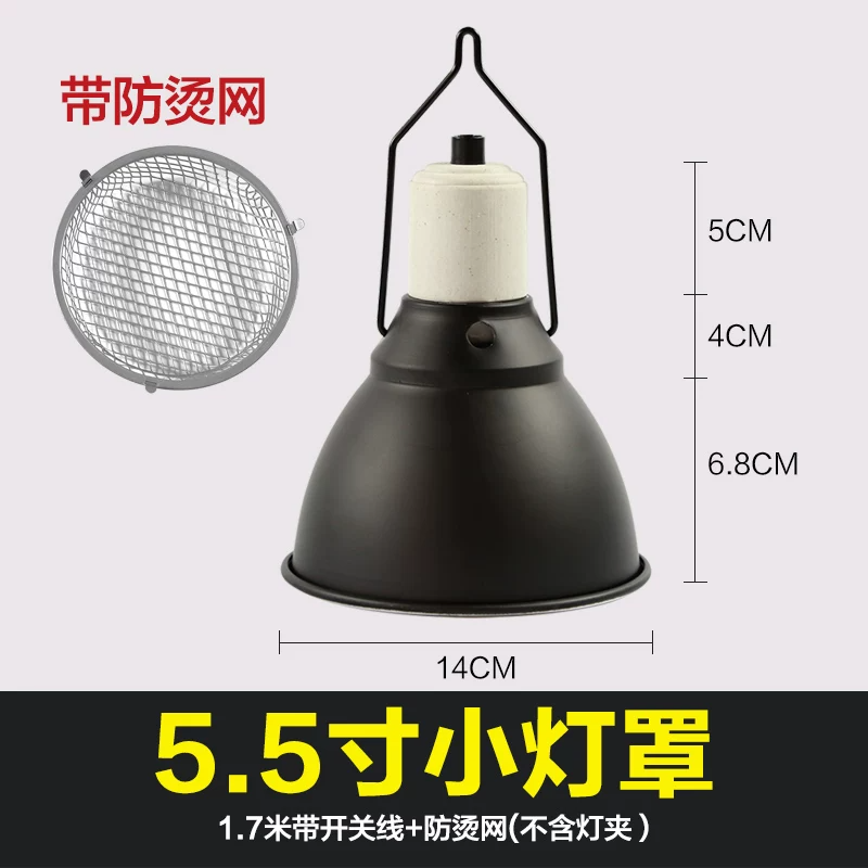 5.5��С���֣������֣�