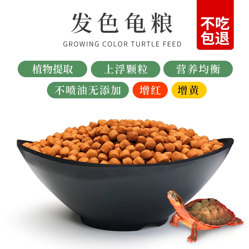 �ڹ귢ɫ�����ڹ���ɫ���Ϲ������»���ƺ���Ե���浰����ϻ���
