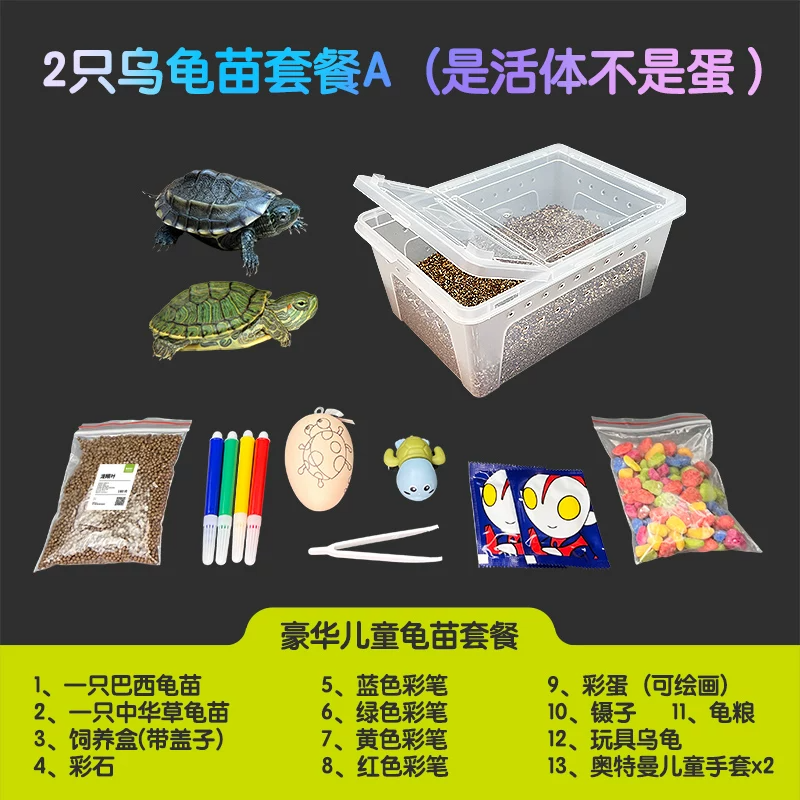 2ֻ�ڹ����ײ�A�����塿