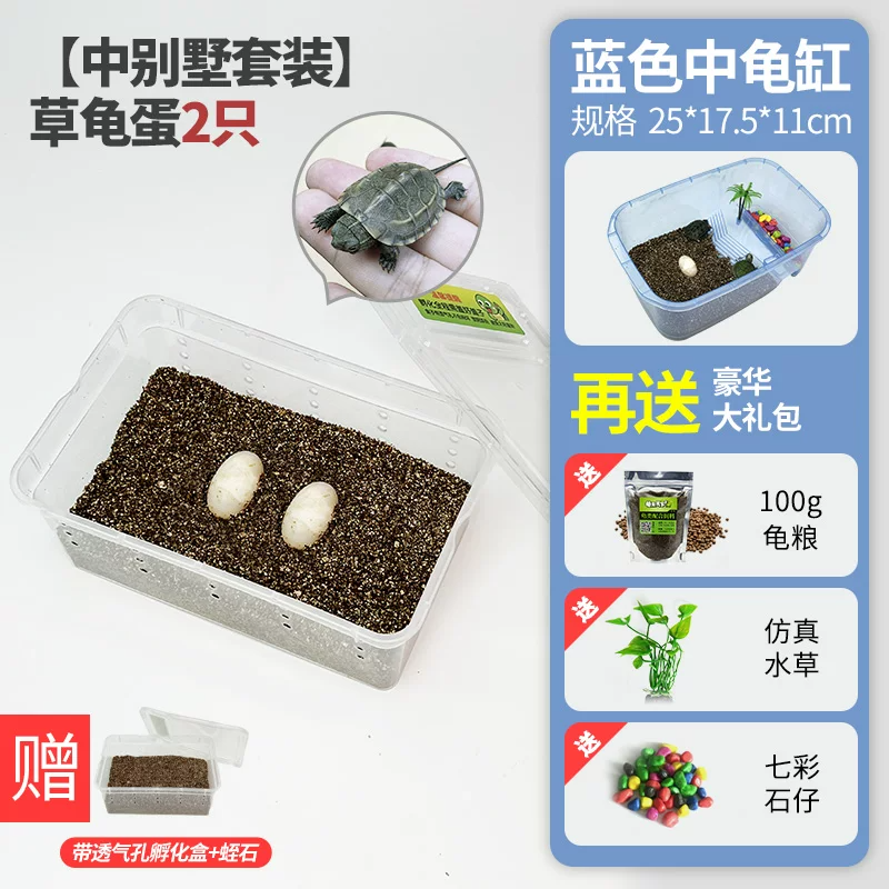 ���б�����װ���ݹ군��1��1(��֤��1ֻ)