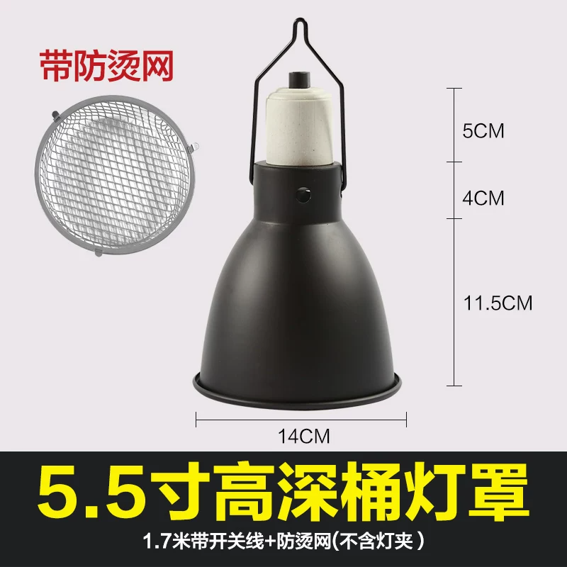 5.5�����Ͱ���֣������֣�