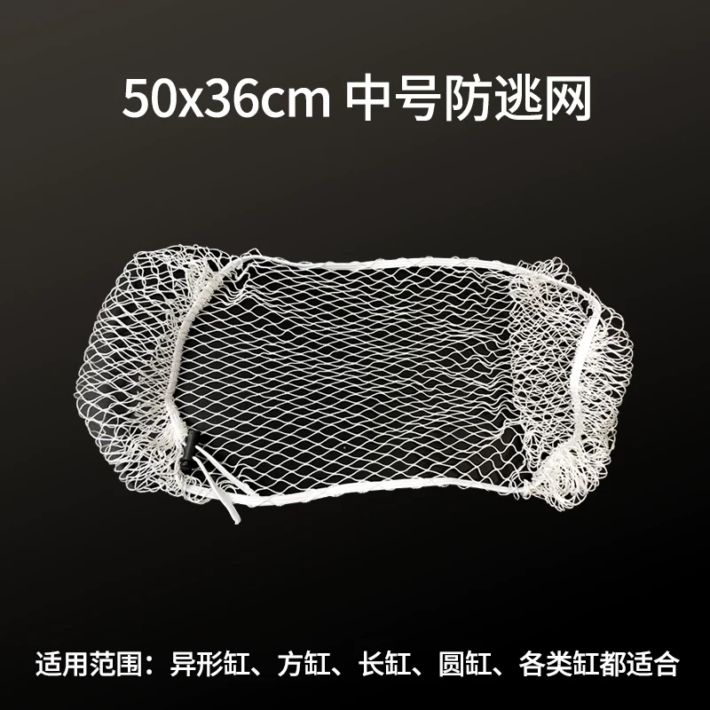 50x36cm-�кŷ�����