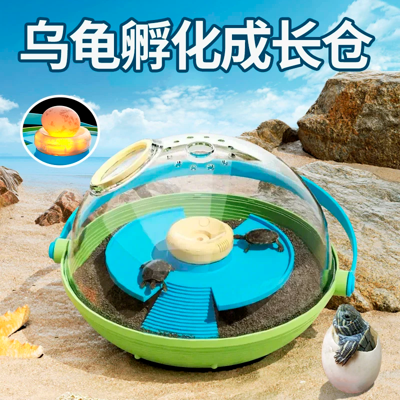 ����������+���군*8+����+����