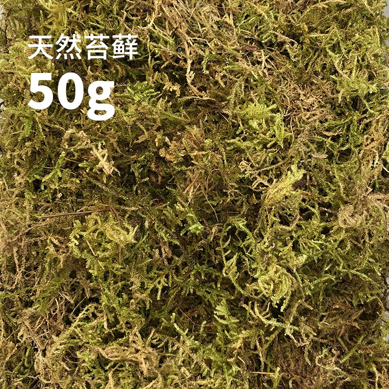 ̦޺50g