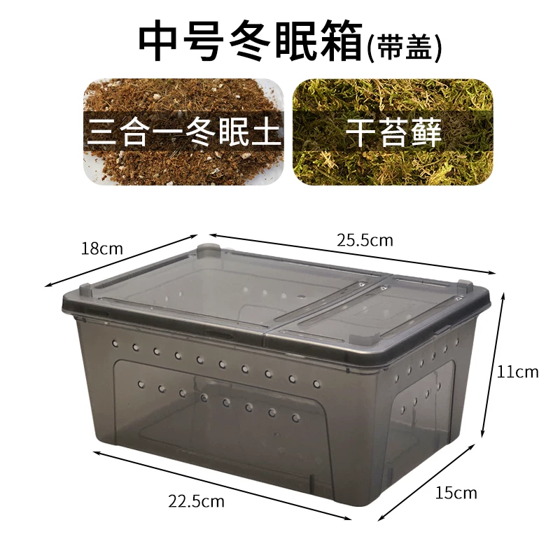�кڶ�����2(����һ���&̦޺)