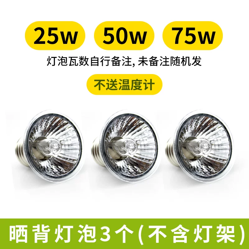 ɹ������3���������Ƽܣ�